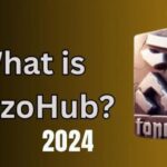 TanzaniaHub